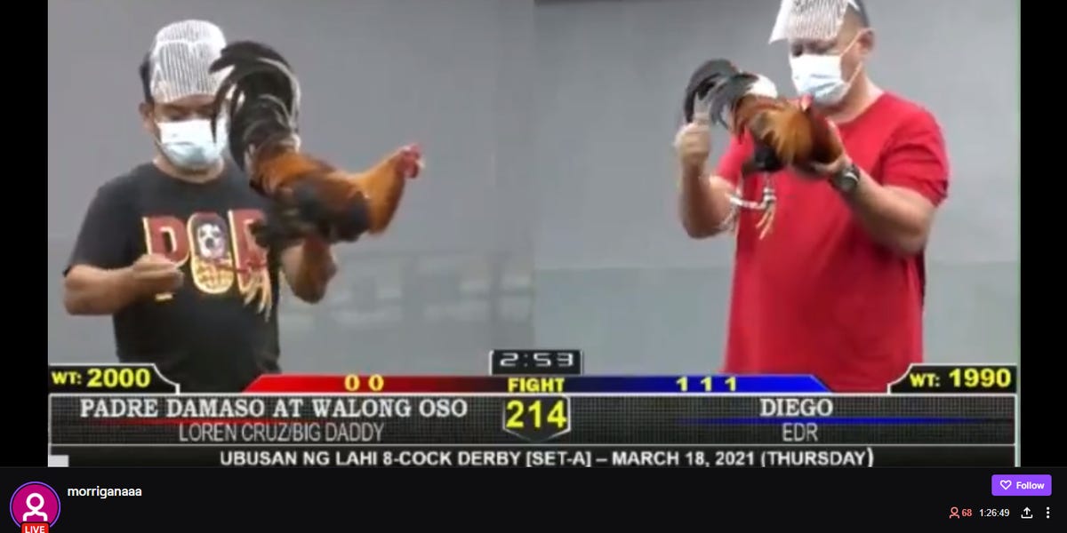 Virtual Cockfighting eSabong